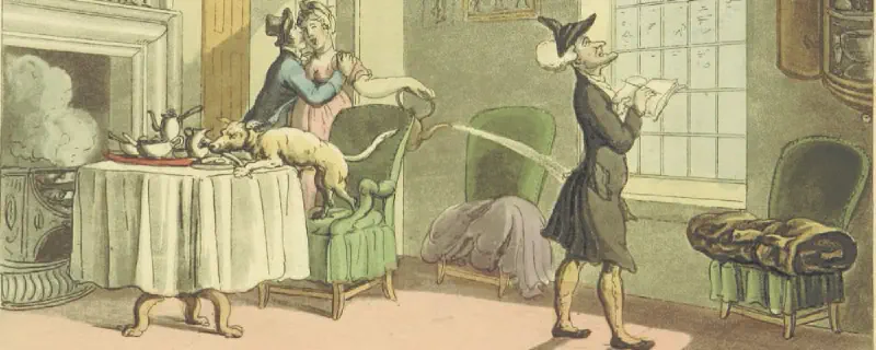 Dr. Syntax • Thomas Rowlandson • 1813